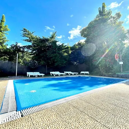 Communicated Apartment, Wifi, Pool, Nice Garden In Puerto De La Cruz Apartament *