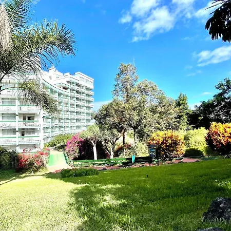 Communicated Apartment, Wifi, Pool, Nice Garden In Puerto De La Cruz *