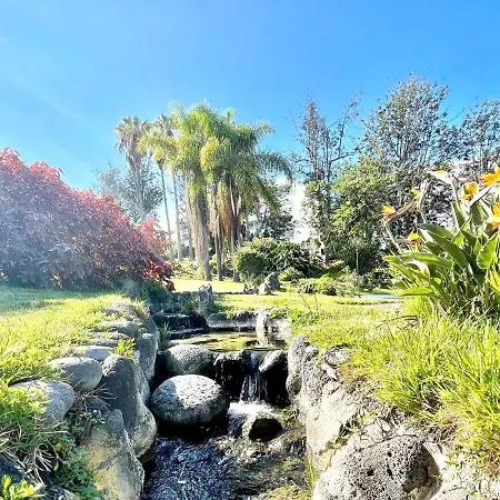 Communicated Apartment, Wifi, Pool, Nice Garden In Puerto De La Cruz * Puerto de la Cruz (Tenerife)