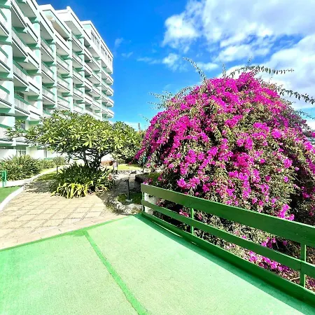 Communicated Apartment, Wifi, Pool, Nice Garden In Puerto De La Cruz Puerto de la Cruz (Tenerife)
