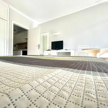 Communicated Apartment, Wifi, Pool, Nice Garden In Puerto De La Cruz Puerto de la Cruz (Tenerife)