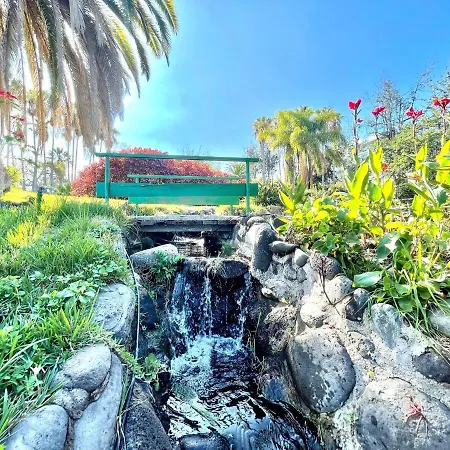 Communicated Apartment, Wifi, Pool, Nice Garden In Puerto De La Cruz
