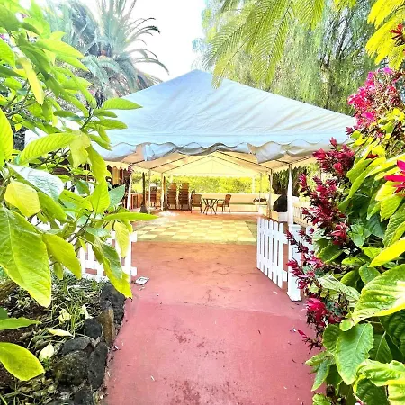 Communicated Apartment, Wifi, Pool, Nice Garden In Puerto De La Cruz * Puerto de la Cruz (Tenerife)
