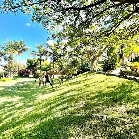 Communicated Apartment, Wifi, Pool, Nice Garden In Puerto De La Cruz Apartament *