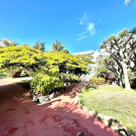 Communicated Apartment, Wifi, Pool, Nice Garden In Puerto De La Cruz *
