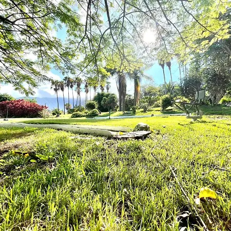 Communicated Apartment, Wifi, Pool, Nice Garden In Puerto De La Cruz Apartament Puerto de la Cruz (Tenerife)