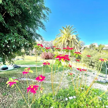 Apartament Communicated Apartment, Wifi, Pool, Nice Garden In Puerto De La Cruz