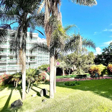 Communicated Apartment, Wifi, Pool, Nice Garden In Puerto De La Cruz *