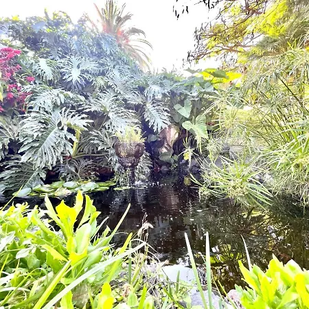 Apartment Communicated Apartment, Wifi, Pool, Nice Garden In Puerto De La Cruz Puerto de la Cruz (Tenerife)