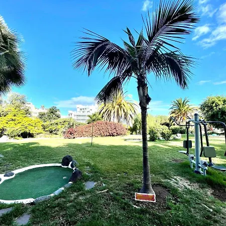 Communicated Apartment, Wifi, Pool, Nice Garden In Puerto De La Cruz *
