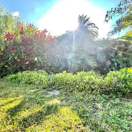Communicated Apartment, Wifi, Pool, Nice Garden In Puerto De La Cruz Apartment