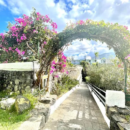 Apartment Communicated Apartment, Wifi, Pool, Nice Garden In Puerto De La Cruz *