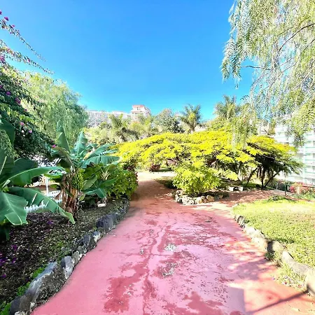 Apartment Communicated Apartment, Wifi, Pool, Nice Garden In Puerto De La Cruz Puerto de la Cruz (Tenerife)